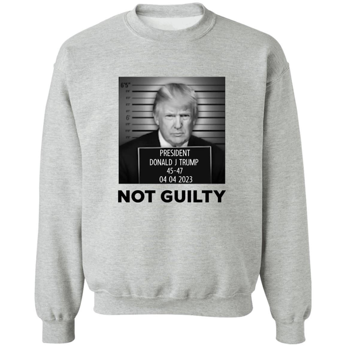 Donald Trump Not Guilty Shirt Trump Mug Shot Shirt Trump Campaign Donald Trump Not Guilty Shirt Trump Mug Shot Shirt Trump Campaign