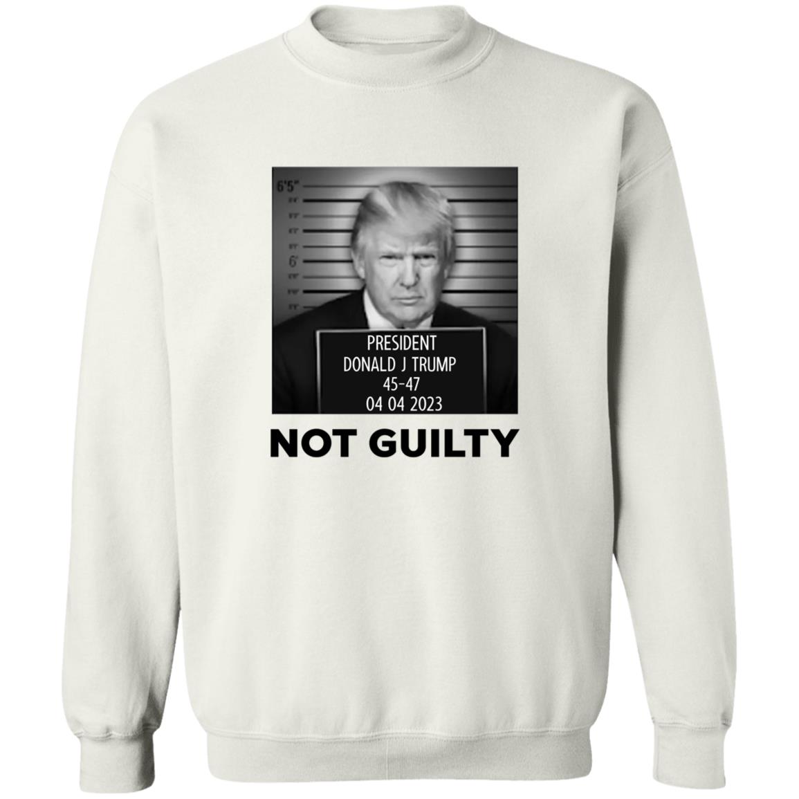 Donald Trump Not Guilty Shirt Trump Mug Shot Shirt Trump Campaign Donald Trump Not Guilty Shirt Trump Mug Shot Shirt Trump Campaign