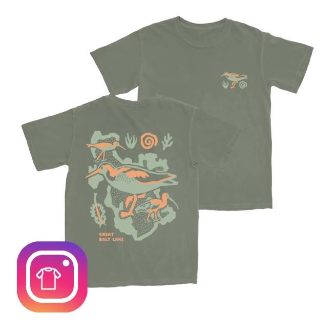 Birdcollective Merch Great Salt Lake Long Sleeve T Shirt