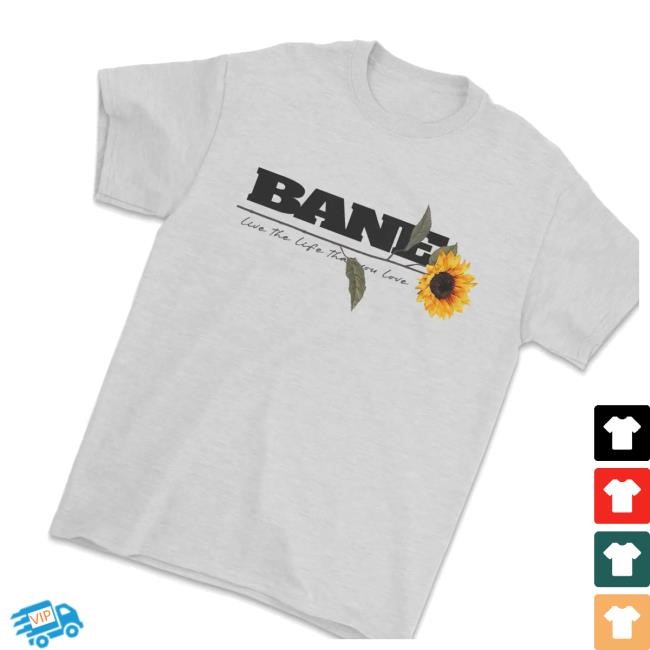 Bane Store Merch Bane Sunflowers And Sunsets Hoodie Sweashirt
