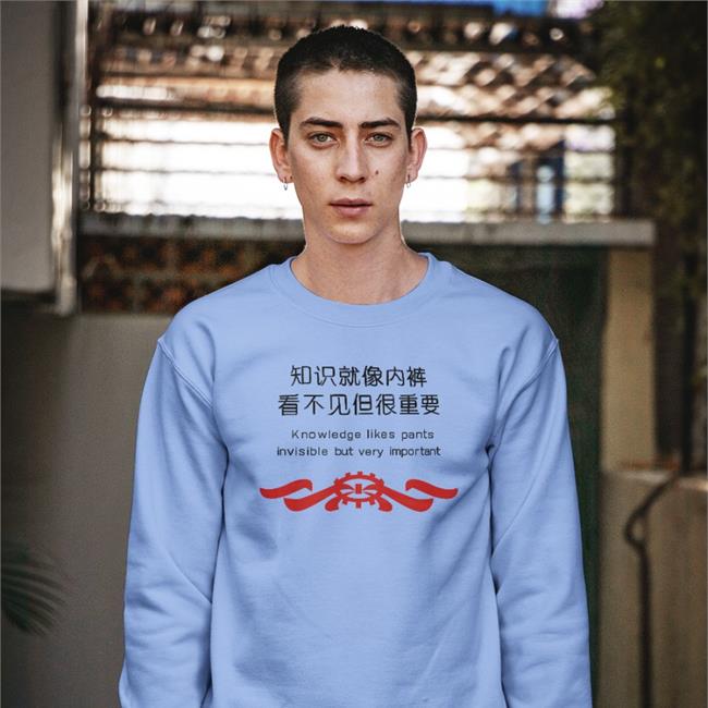 Poorly Translated Shirts Knowledge Likes Pants Invisible But Very Important Tee