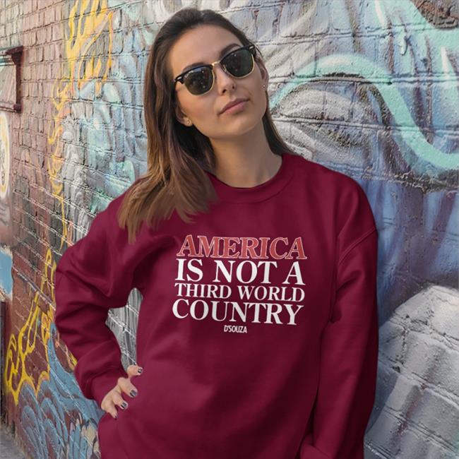 Dineshdsouza Merch America Is Not A Third World Country Hoodie Dinesh D'souza