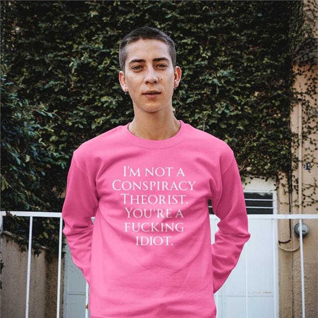 Haney Mallemat Who Is Not A Conspiracy Theorist You Are A Fucking Idiot Sweatshirt