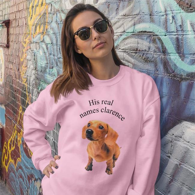 The Good Shirts Store His Real Names Clarence Hoodied Sweatshirt Shirts That Go Hard