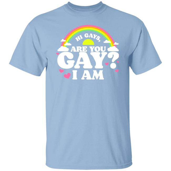 Chrissy Chlapecka Merch Are You Gay Tee Hi Gays Are You Gay I Am Shirt