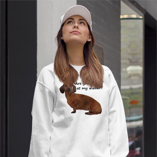 Are You Looking At My Wiener Dog Hoodie Goodshirts