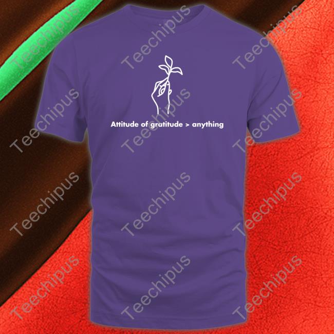 Attitude Of Gratitude Anything Hoodie Sweatshirt