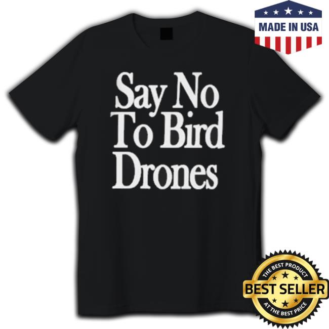 Birds Arent Real Say No To Bird Drones Hoodie