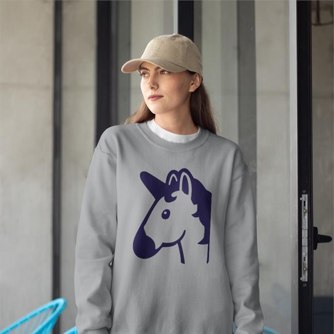 Chris Sale Wearing Unicorn Hoodie Red Sox