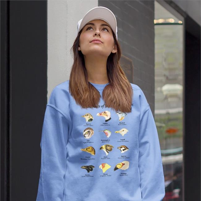 Bird Drones Of North America T Shirt