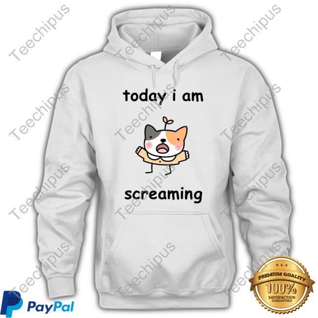 Official Today I Am Screaming Hooded Sweatshirt