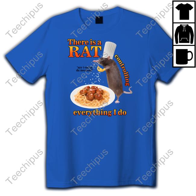 Gotfunny Store There Is A Rat Controlling Everything I Do Hoodie
