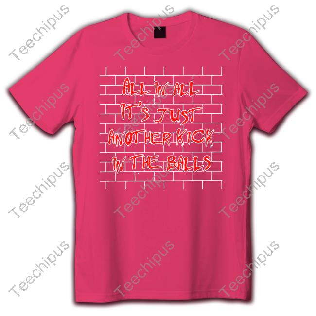 Goodshirts Store All In All It's Just Another Kick In The Balls Long Sleeve