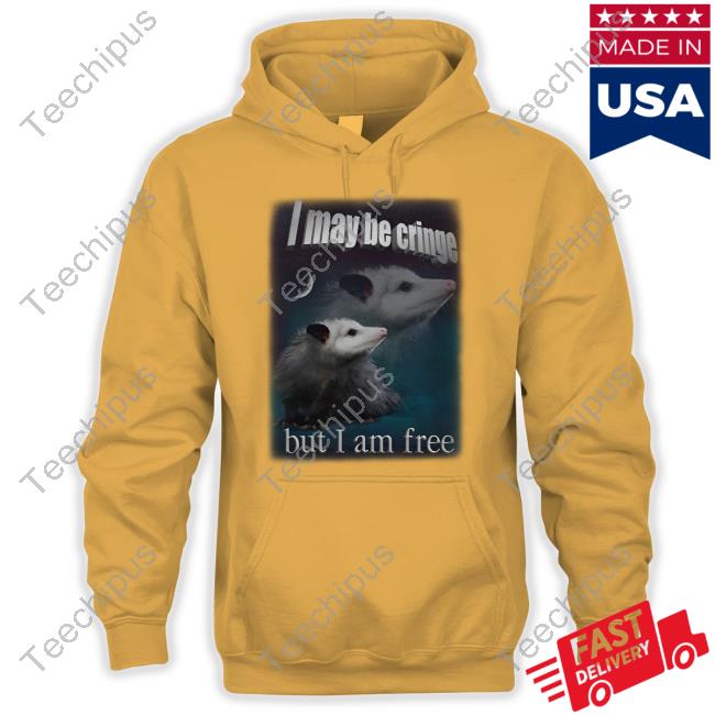 Snazzyseagull I May Be Cringe But I Am Free Hooded Sweatshirt