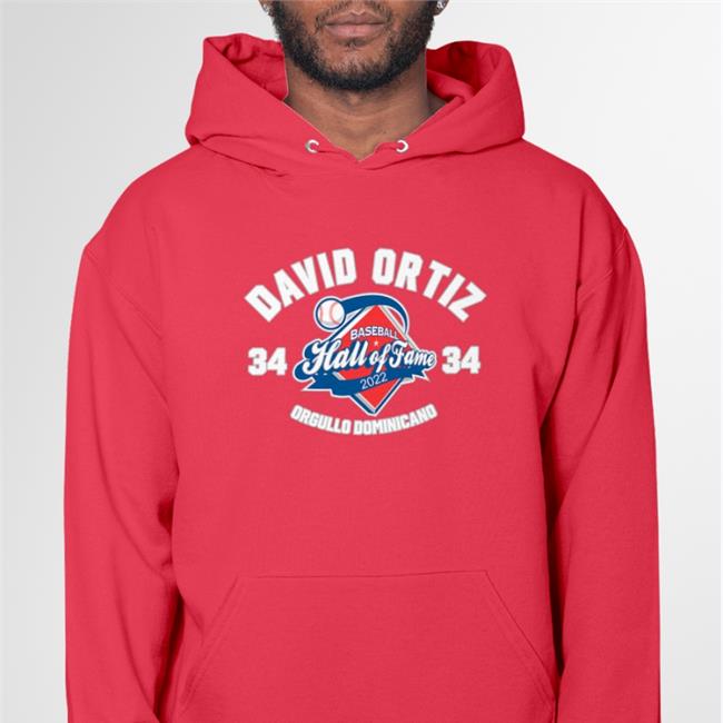 Red Sox David Ortiz Baseball Hall Of Fame 2022 Orgullo Dominicano Tee Shirt Cut4