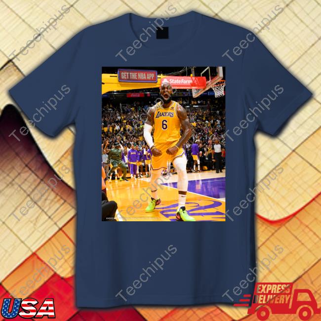 Lebron James 22 Points 20 Rebounds T Shirt