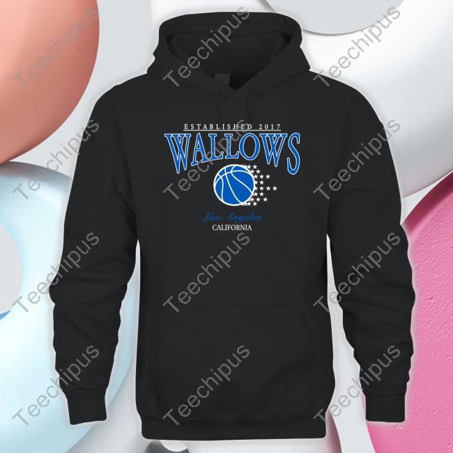 Established 2017 Wallows Los Angeles California Shirt