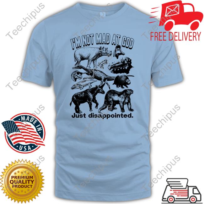 I'm Not Mad At God Just Disappointed T-Shirt