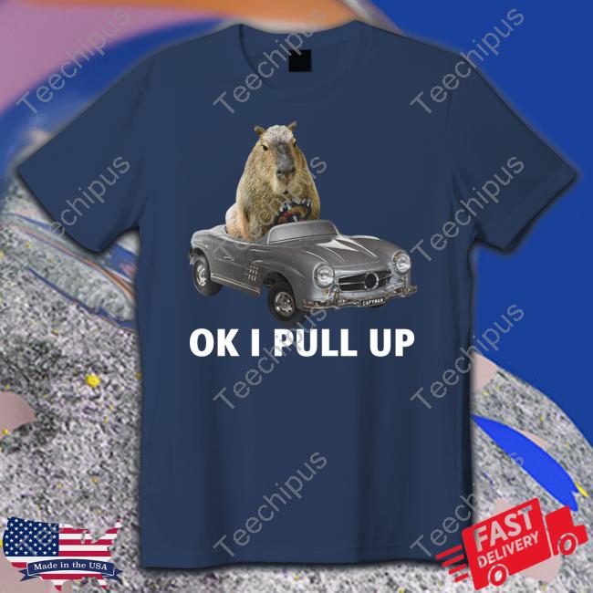 Capy Car Ok I Pull Up T Shirt