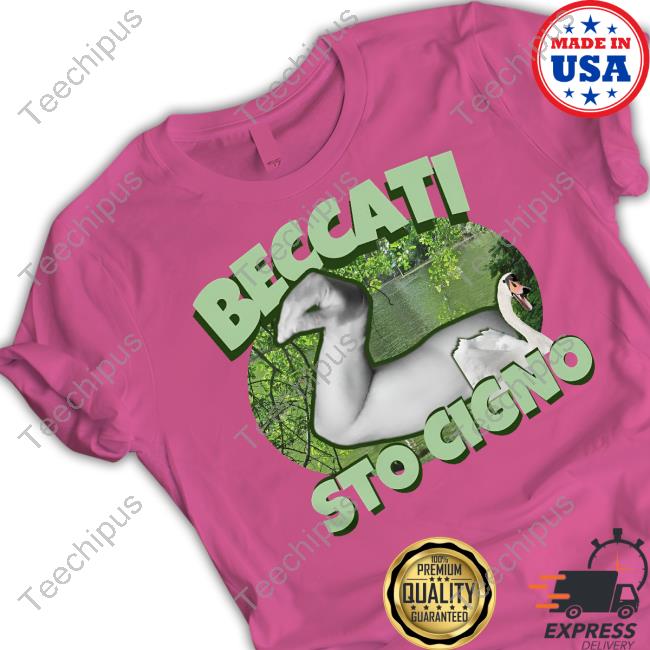 Wear Meme Ita Beccati Sto Cigno T Shirt Wear Meme Ita Beccati Sto Cigno Tee Shirt