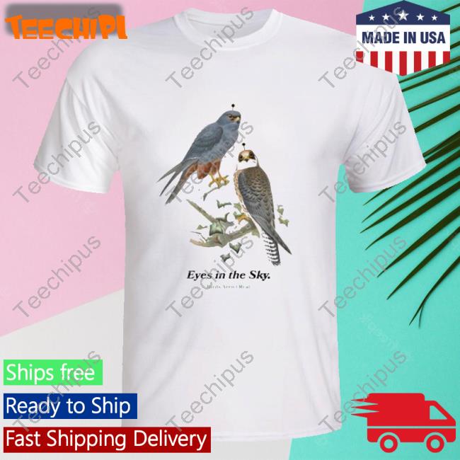 Eyes In The Sky Birds Aren’t Real Tee