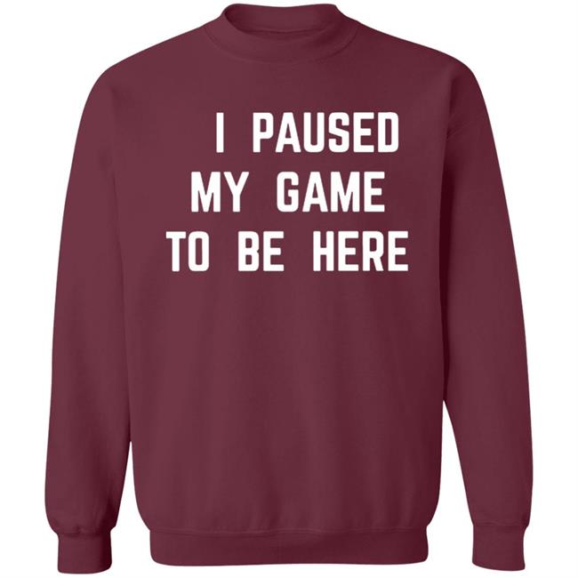 I Paused My Game To Be Here T Shirt I Paused My Game To Be Here T Shirt
