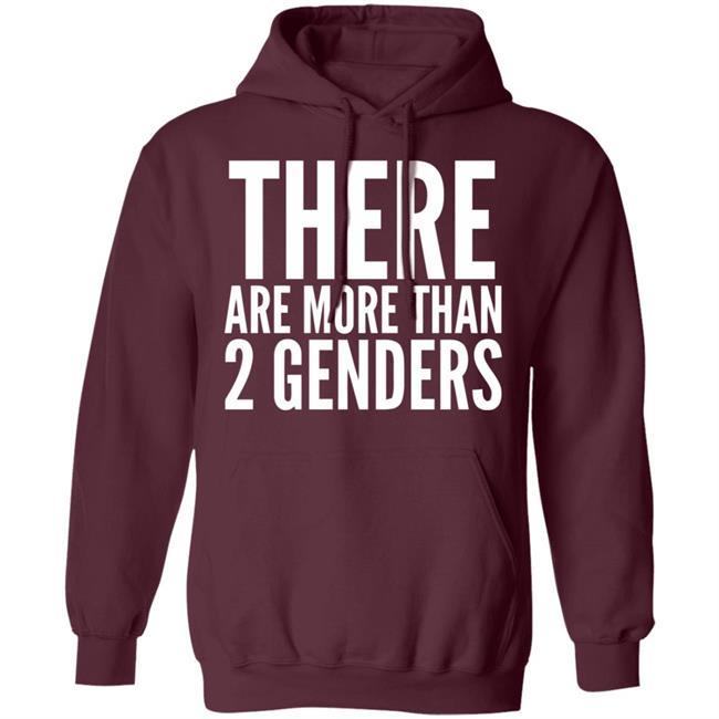 there are more than two genders shirt black hoodie there are more than two genders shirt black hoodie