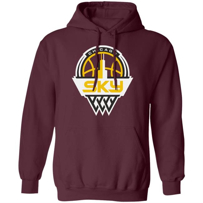 Youth Chicago Sky Fanatics Branded Light Blue Primary Logo Pullover Hoodie Youth Chicago Sky Fanatics Branded Light Blue Primary Logo Pullover Hoodie