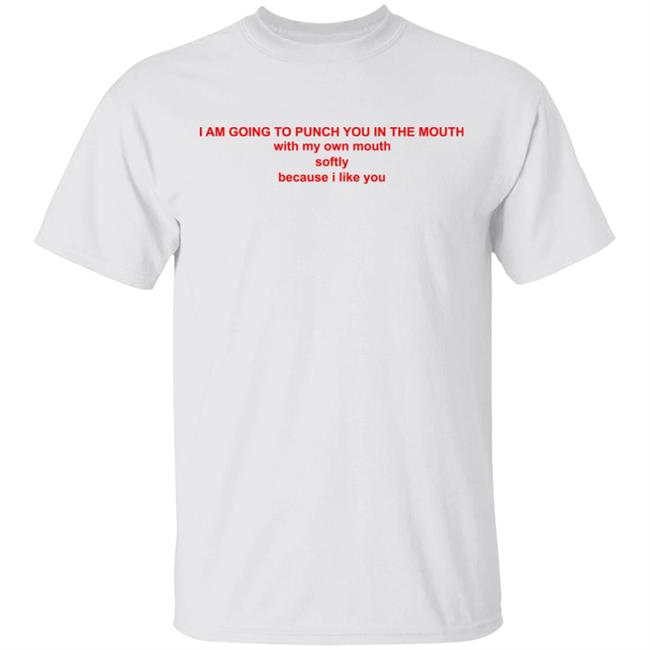 I Am Going To Punch You In The Mouth T Shirt Sweatshirt Hoodie Respectful Memes I Am Going To Punch You In The Mouth T Shirt I Like You T Shirt