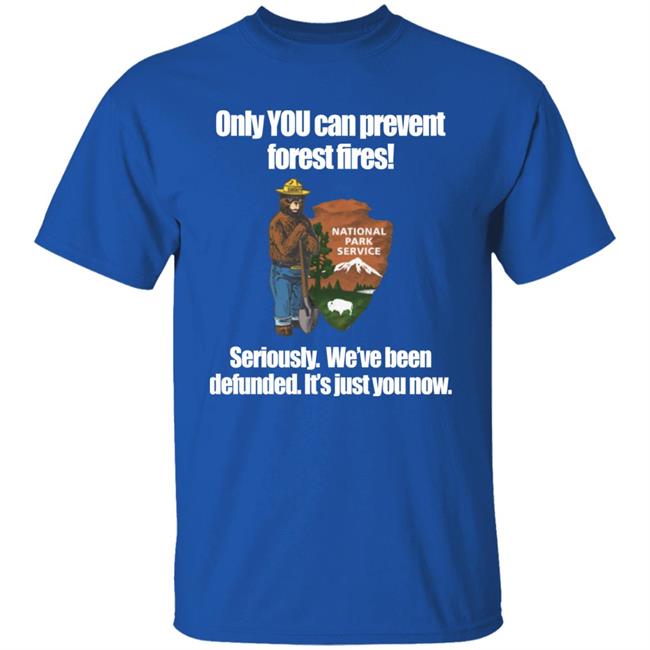 Bring Me Tacos Store Only You Can Prevent Forest Fires Shirt Smokey Bear Defunded Only You Can Prevent T-Shirt