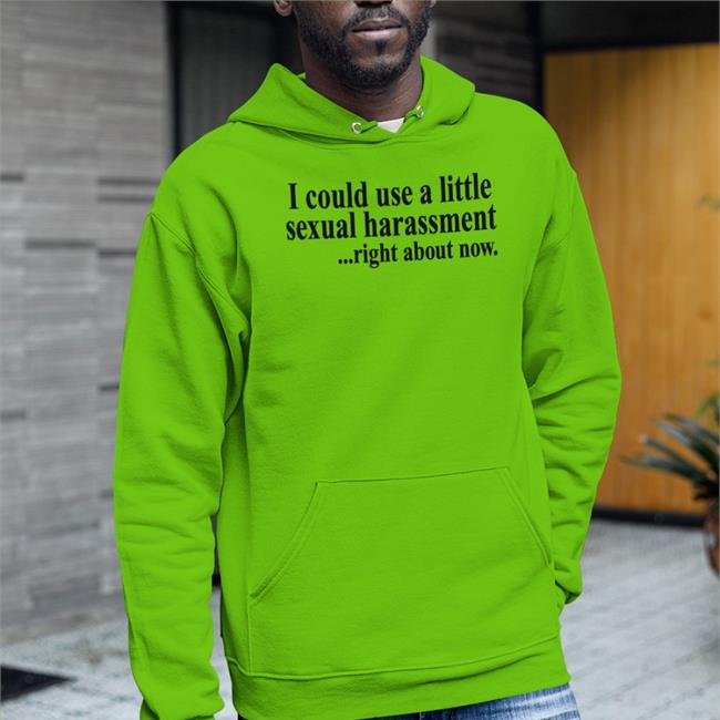 I Could Use A Little Sexual Harassment Right About Now Hoodie