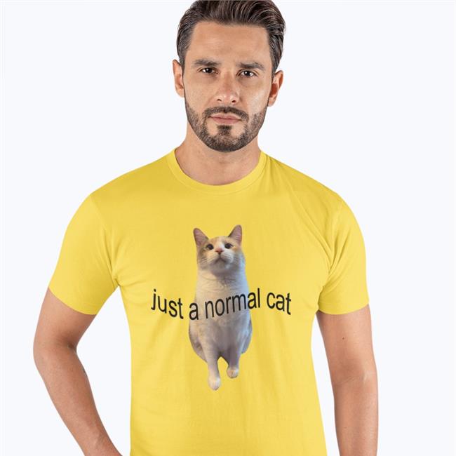Just A Normal Cat Shirt Panko A. Cat’S Mom Fatfatpankocat