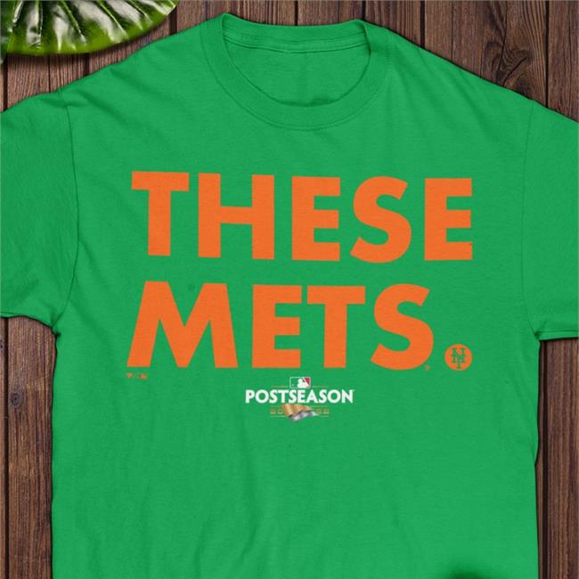 These Mets New York Mets Citi Field Hoodie