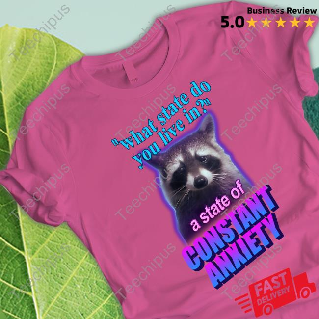 What State Do You Live In A State Of Constant Anxiety Raccoon New Shirt