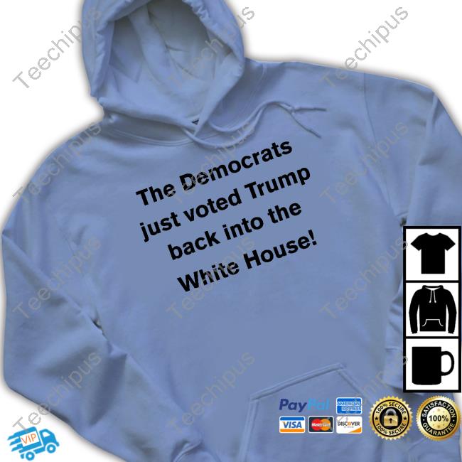 The Democrats Just Voted Trump Back Into The White House Tank Top