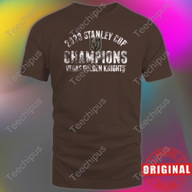 Vegas Golden Knights Fanatics Branded Heather Gray 2023 Stanley Cup Champions Tri-Blend T-Shirt