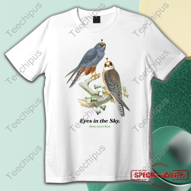 Birds Aren't Real Eyes In The Sky Birds Aren't T Shirt