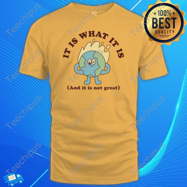 Official It Is What It Is And It Is Not Great Tee Shirt
