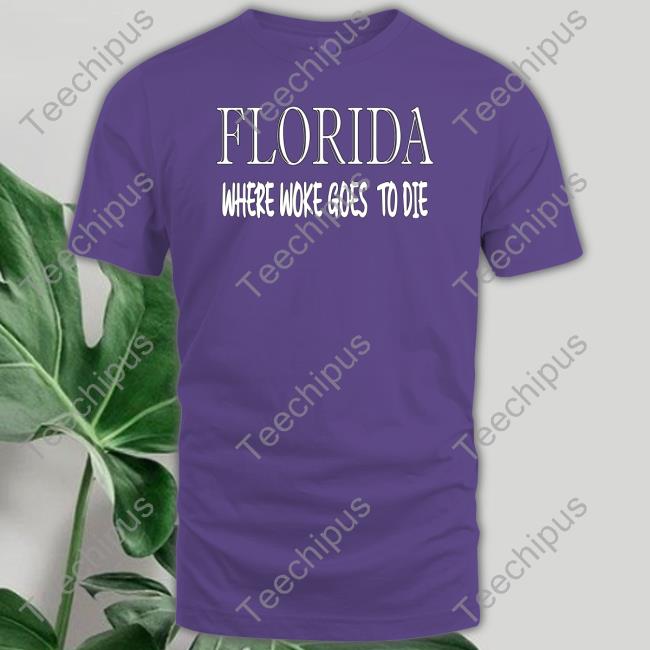 Florida Where Woke Goes To Die Hoodie