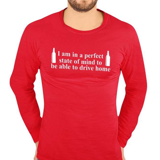 I Am In A Perfect State Of Mind To Be Able To Drive Home Hoodie