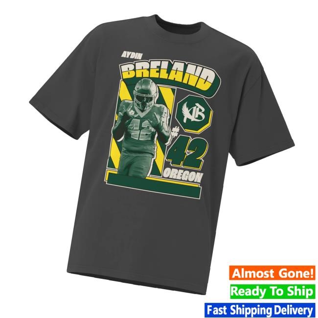 Theaydinbreland Merch Store Shop Aydin Breland Retro Oversized Sweater