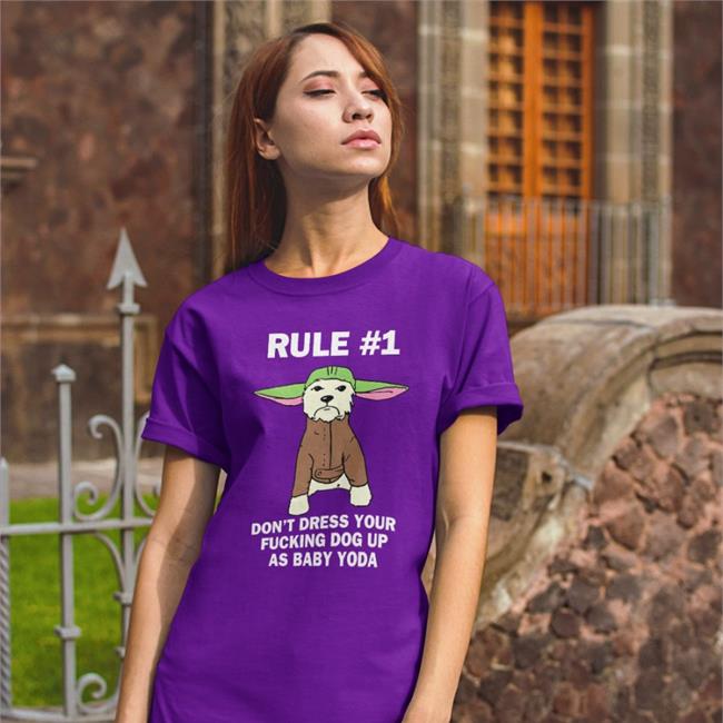 Luccainternational Don't Dress Your Fucking Dog Up As Baby Yoda Sweatshirt