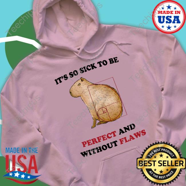 It's So Sick To Be Perfect And Without Flaws T Shirt Jmcgg