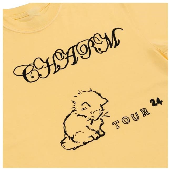 Trending Clairo Merch Store Charm Cat Tour Sweaters (Yellow)